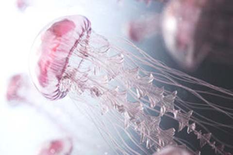 http://zhongshan.vdtfzz.com/post/208.html|中山人工试管