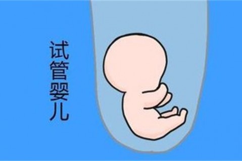 http://zhongshan.vdtfzz.com/post/194.html|中山新闻中心