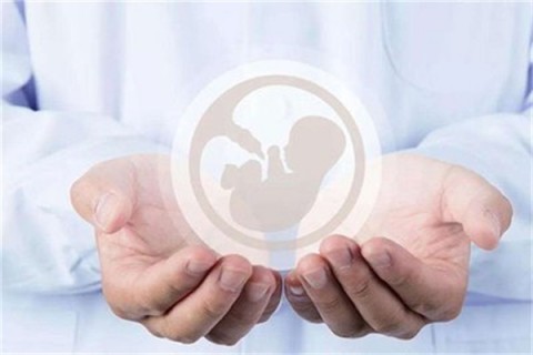 http://zhongshan.vdtfzz.com/post/214.html|中山人工试管