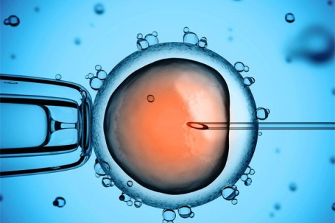 http://zhongshan.vdtfzz.com/post/199.html|中山供卵助孕